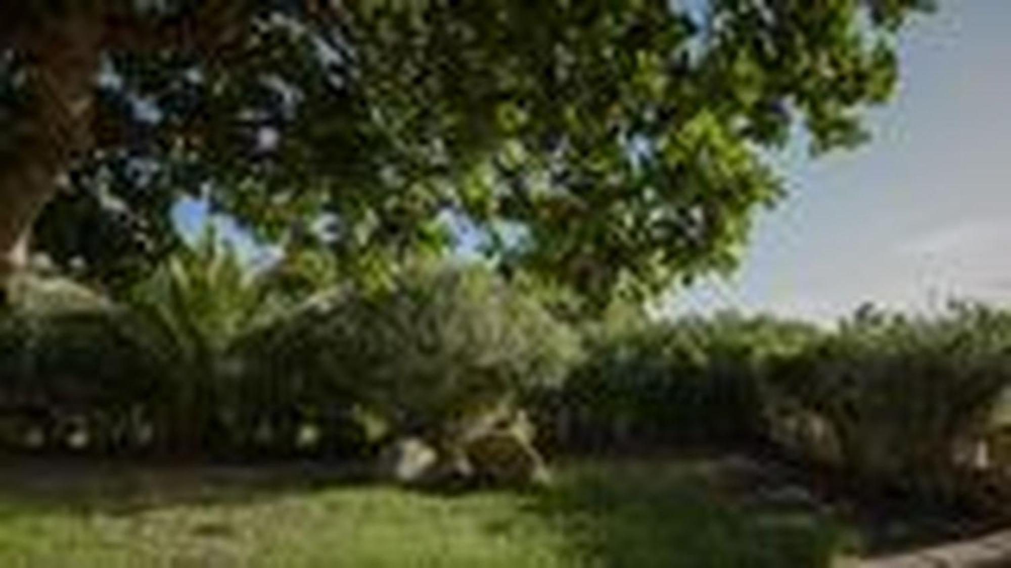 Welcomely - Villa Adele Costa Rei Dış mekan fotoğraf