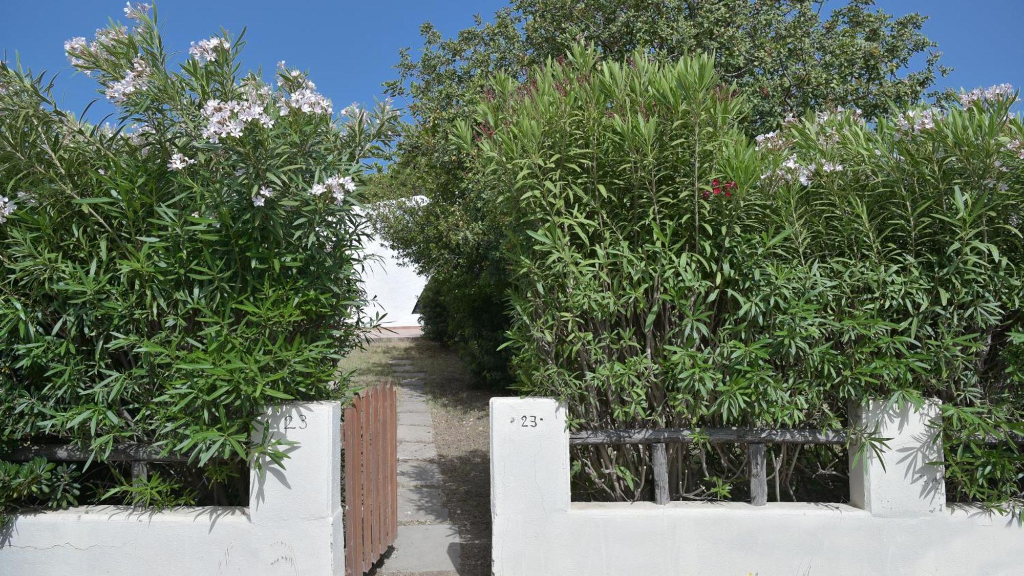 Welcomely - Villa Adele Costa Rei Dış mekan fotoğraf